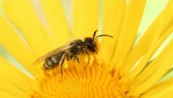 Церковный праздник 30 апреля 2025: что нельзя делать в этот день, приметы 