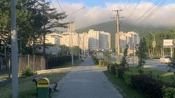 Жители Южно-Сахалинска обвинили Вишневского в пробках из-за кольца ГИБДД