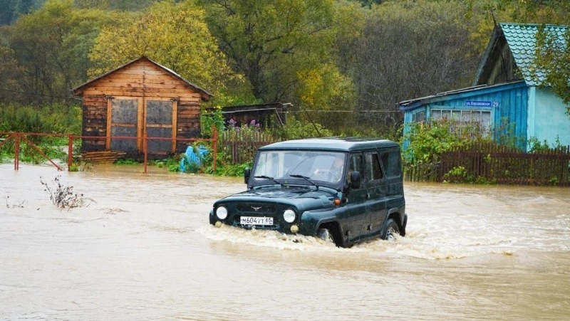 Домашних животных эвакуировали из зоны подтопления в Корсаковском районе
