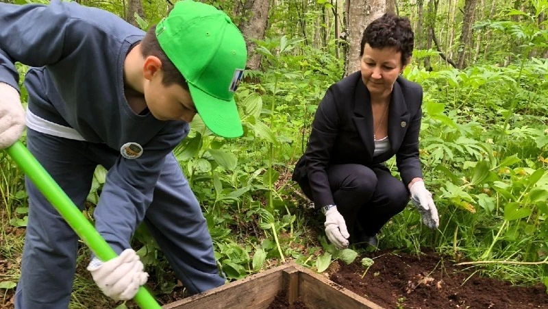 «Тополя Победы» высадили в ботаническом саду Южно-Сахалинска