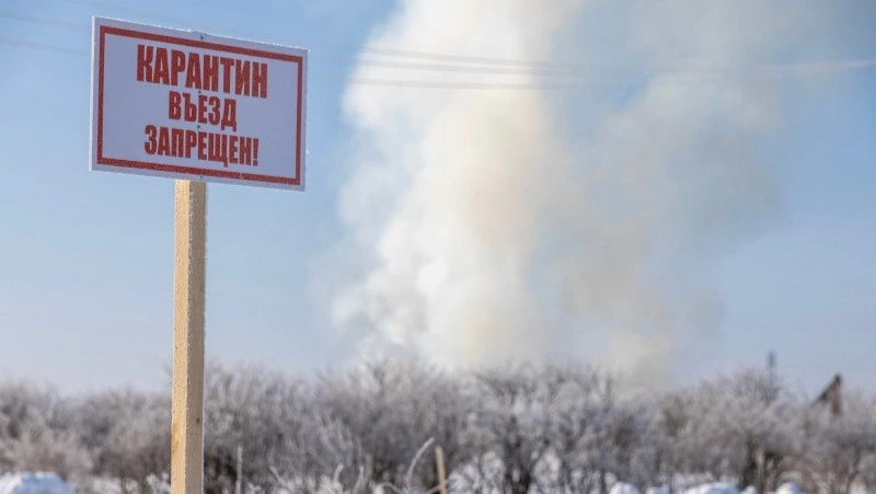 Правительство Сахалинской области окажет поддержку АО «Птицефабрика «Островная»