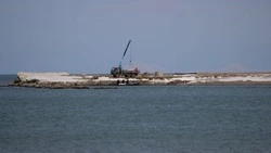 В Томари разберутся с рыбаками на промысле мойвы, которые мешают местным