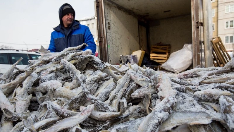 Первую в 2023 году навагу привезли на рынки Сахалина