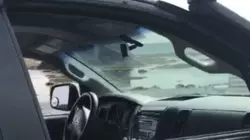 Взрослый медведь кинулся на сахалинца и помял его машину. «За ногу пытался вытащить»