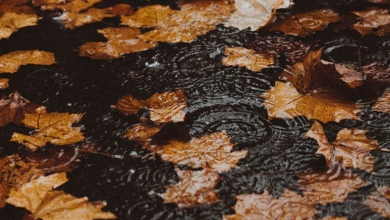 Погода в Южно-Сахалинске 6 октября: буйство циклона и сильный ветер