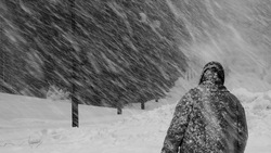 Сильный снег и усиление ветра ожидают на Курилах в ночь на 30 ноября 