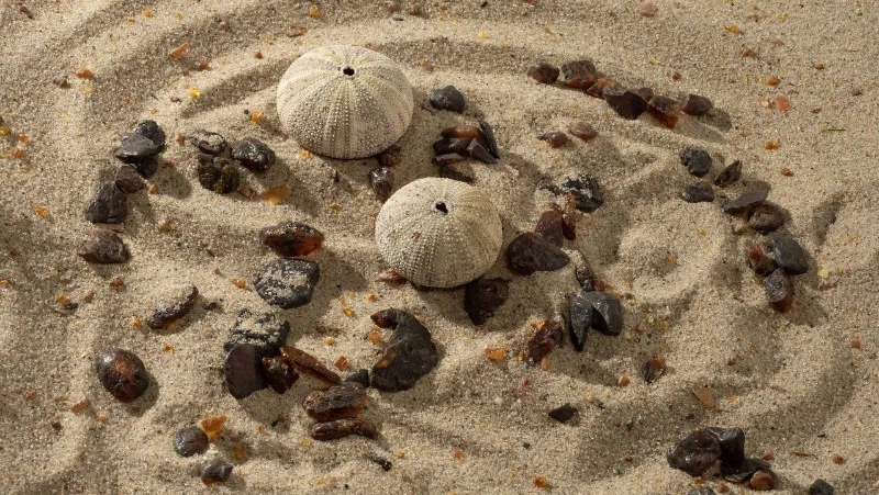 Школьница с Сахалина прислала музею в Калининграде крупные образцы янтаря