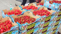 550 рублей за килограмм: клубнику от местных фермеров привезли в Южно-Сахалинск