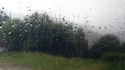 До +11 градусов и небольшой дождь: синоптики рассказали о погоде 19 апреля в Сахалинской области