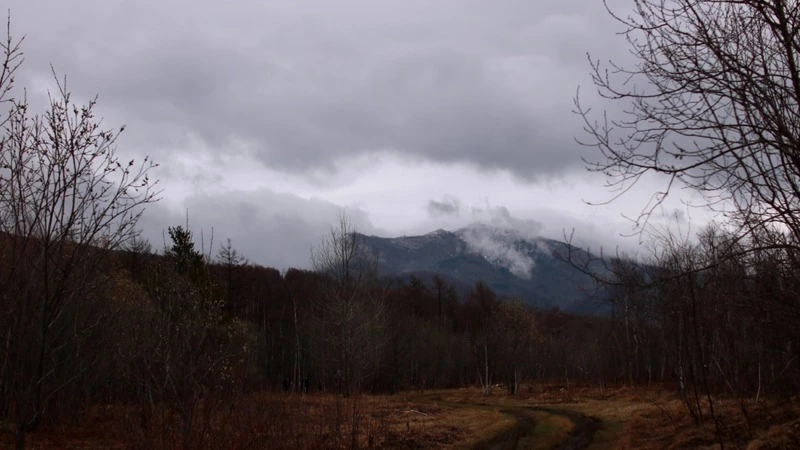 Ребенок в окне и средневековый праздник: новости выходных в Сахалинской области