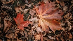 Сахалинцев предупредили о морозах до –10 градусов 14 октября