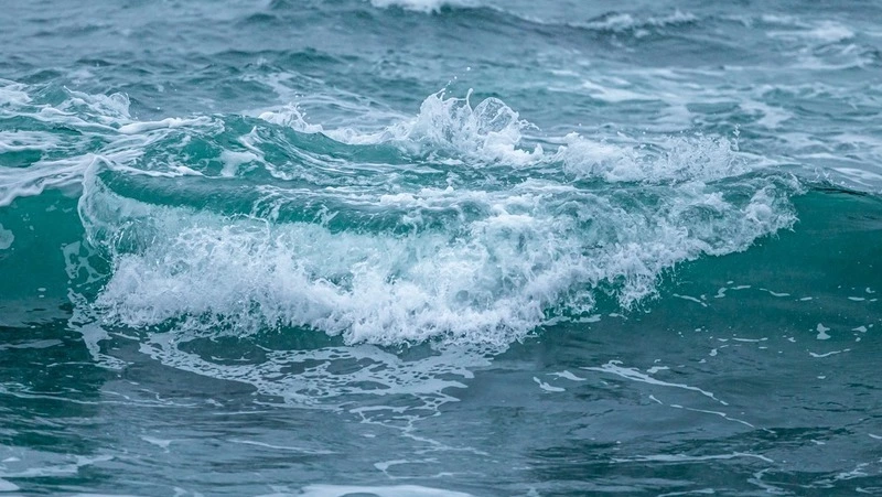 Останки пропавшего моряка из Холмска обнаружили спустя 8 лет в Тихом океане