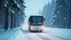 Дорогу между Троицким и Новотроицким открыли для общественного транспорта