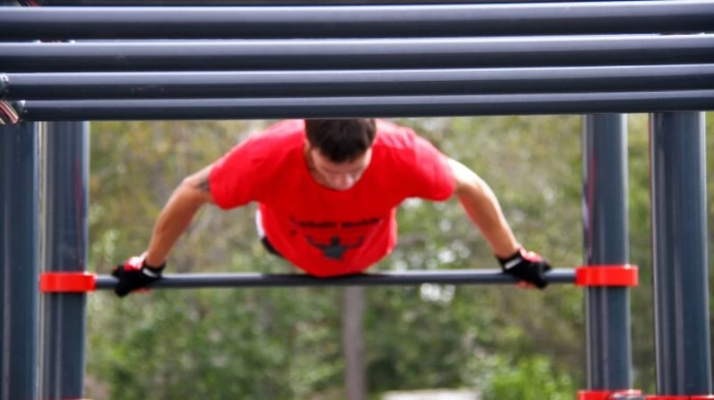 Придворный спорт