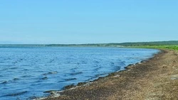 Сахалинские ученые забили тревогу из-за критического состояния лагуны Буссе