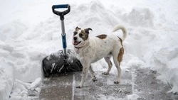 Циклон испортит выходной день на Сахалине: какие районы примут основной удар стихии
