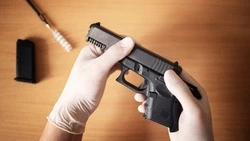 На Сахалине осудили еще двоих мужчин, устроивших перестрелку рядом с детсадом в Макарове