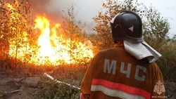 Пожарные потушили крупное возгорание сухой травы в Углегорском районе