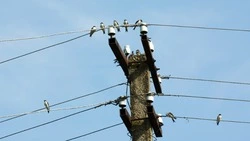 Жилые дома, школа и травмпункт в Южно-Сахалинске проведут без электричества 18 августа