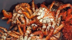 На рынке Южно-Сахалинска торгуют запрещенными к вылову самками краба