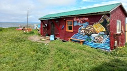 Интересный и необычный стрит-арт украсил стены домика у озера Буссе