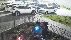 Серийные похитители фонариков продолжают разорять образцовый палисадник в Холмске
