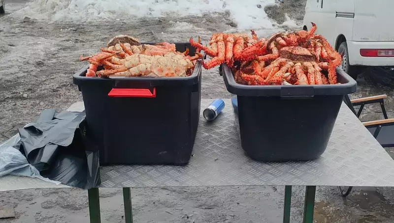 Продавщица из Взморья лишилась 22 крабов после визита полиции