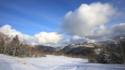 На севере Сахалина похолодает до -23 градусов 12 марта 