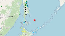 Землетрясение магнитудой 4,3 зарегистрировали вблизи юга Сахалина