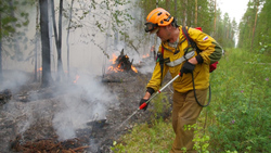 Сотни спасателей защищают от гигантского пожара села в Якутии. Видео