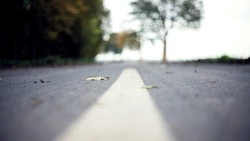 Участок проспекта Мира в Южно-Сахалинске укроют асфальтом 28 октября 