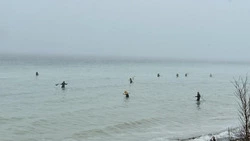 Сотни человек поймали сельдь голыми рукам в Корсакове 16 апреля