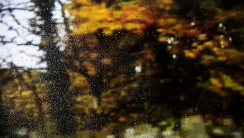 Прогноз погоды на Сахалине и Курилах 4 ноября: дождь и минусовая температура