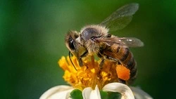 Приметы обо всем на 30 апреля: что можно и нельзя делать в этот день