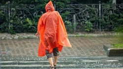 Резкое похолодание и сильные дожди обрушатся на север Сахалина 2 октября