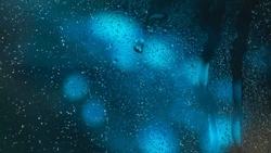 До +18 градусов и дождь: прогноз погоды в Южно-Сахалинске 10 июля