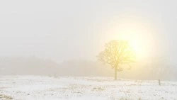 Всего семь часов солнце будет светить над Сахалином 21 декабря