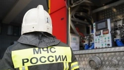 Бытовка в Новой Деревне едва не сгорела дотла за считанные минуты