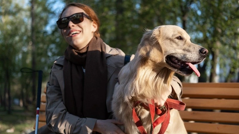 Друг и проводник