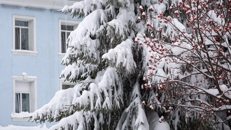 УГМС: после рекордных снегопадов Сахалин ждет новый циклон