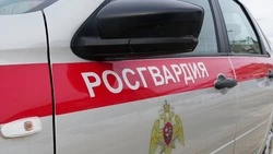 Сотрудники Росгвардии задержали сахалинца, пытавшегося разменять фальшивую купюру