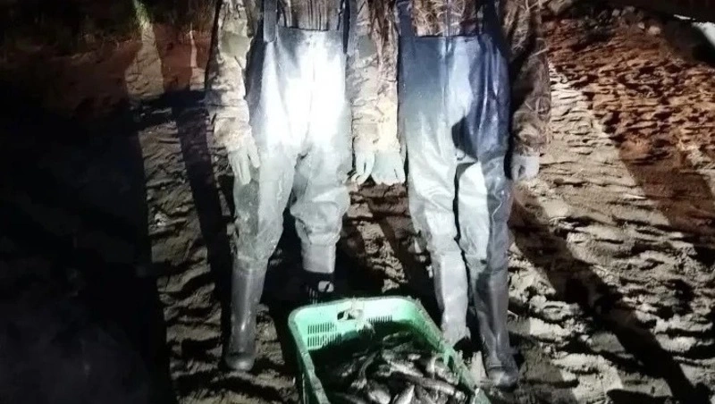 Сотрудники УФСБ и рыбоохраны поймали браконьеров с корюшкой на юге Сахалина