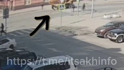 Трактор сбил человека на пешеходном переходе в Южно-Сахалинске (ОБНОВЛЕНО)