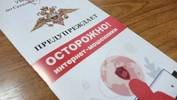 Две женщины на Сахалине подарили более 3 млн рублей мошенникам