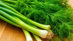 Секреты заморозки зелени на зиму: как сохранить аромат лета без потерь