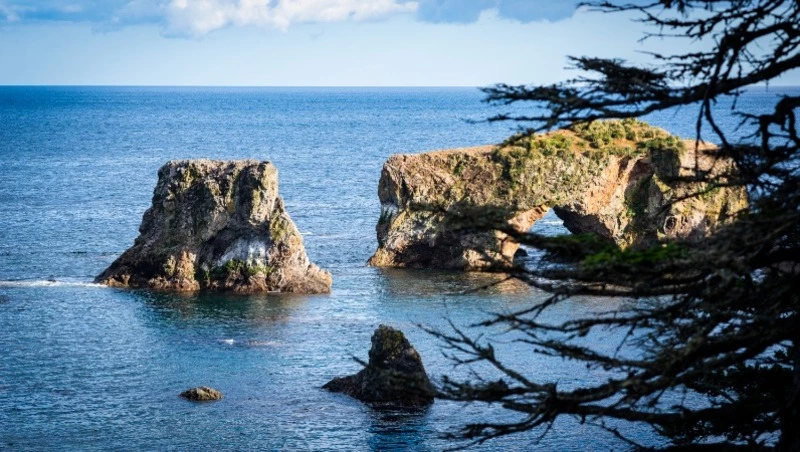 Мыс Птичий (Великан) в сентябре: фоторепортаж Sakh.online