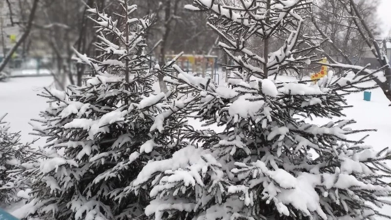 Мороз 30 градусов и снег спрогнозировали синоптики в Сахалинской области 28 января