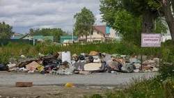 С незаконных свалок областного центра вывезли более 240 самосвалов мусора