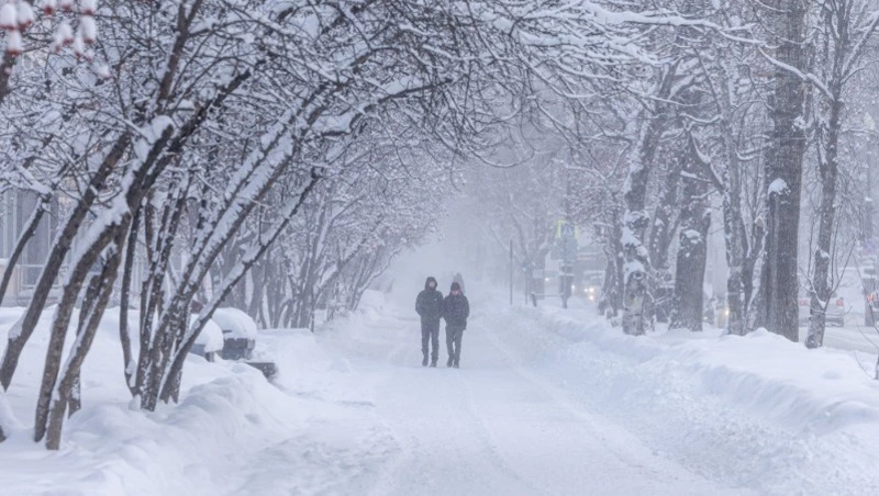 Снег, ветер и гололедицу спрогнозировали на Сахалине и Курилах 31 марта