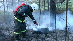 Синоптики прогнозируют лесные пожары в шести районах Сахалина